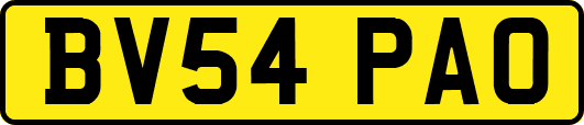 BV54PAO