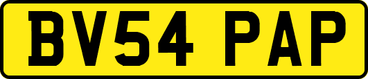 BV54PAP