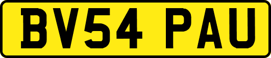 BV54PAU