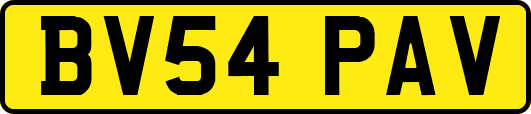BV54PAV