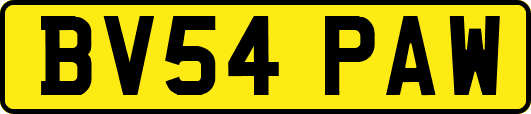 BV54PAW