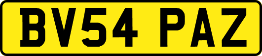 BV54PAZ