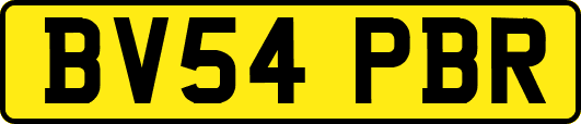 BV54PBR