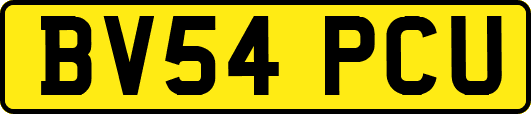 BV54PCU
