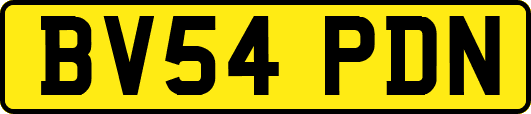 BV54PDN