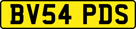 BV54PDS