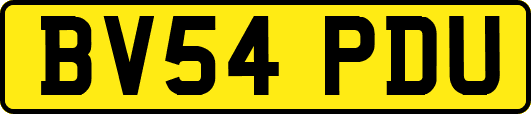 BV54PDU