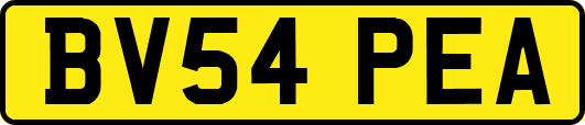 BV54PEA