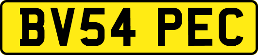 BV54PEC