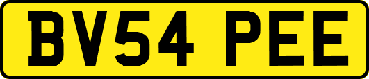 BV54PEE
