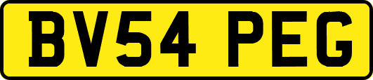 BV54PEG