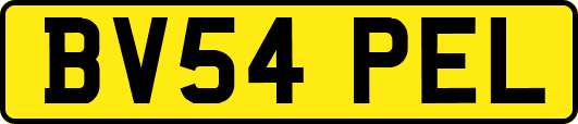 BV54PEL