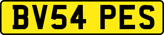 BV54PES