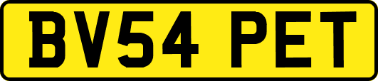 BV54PET