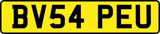 BV54PEU