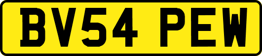 BV54PEW