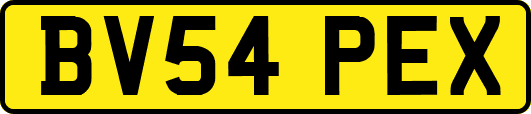 BV54PEX