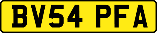 BV54PFA
