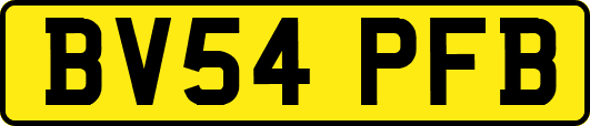 BV54PFB