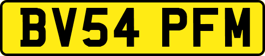 BV54PFM
