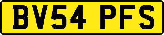 BV54PFS