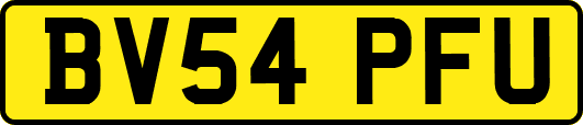BV54PFU