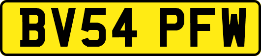BV54PFW