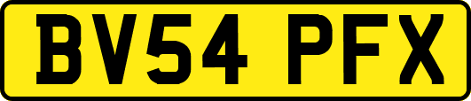 BV54PFX