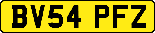 BV54PFZ