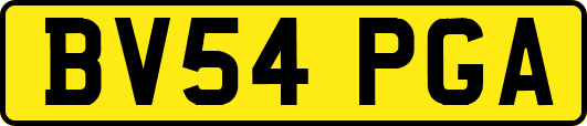 BV54PGA