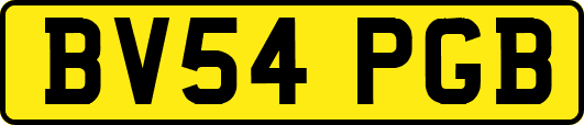 BV54PGB