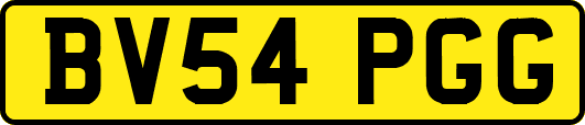 BV54PGG