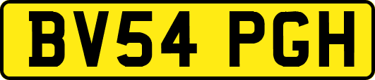 BV54PGH