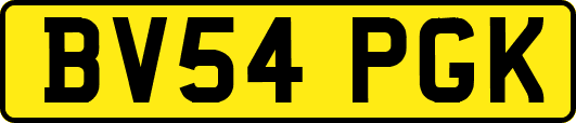 BV54PGK