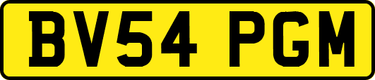 BV54PGM