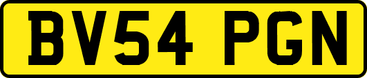 BV54PGN