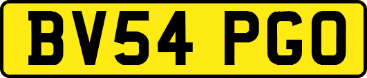 BV54PGO