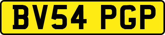 BV54PGP