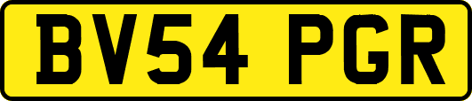 BV54PGR
