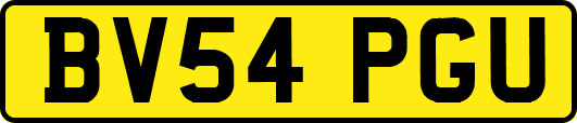 BV54PGU