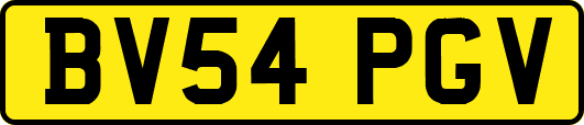 BV54PGV