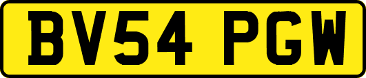 BV54PGW