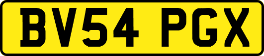 BV54PGX