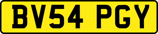BV54PGY