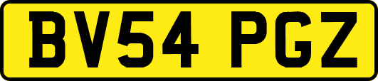 BV54PGZ