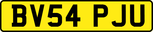 BV54PJU