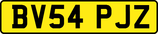BV54PJZ