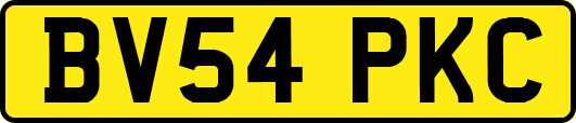 BV54PKC