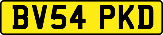 BV54PKD