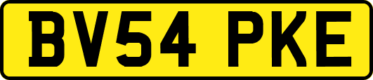 BV54PKE